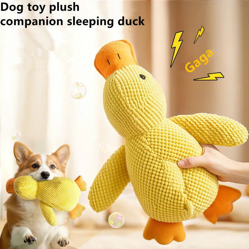 Doggy Plush Squeaky Toy