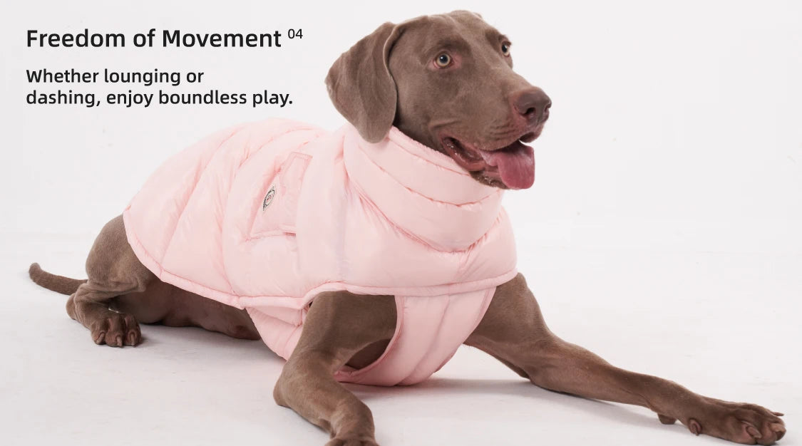 Paw-Dream Doggy Raincoat