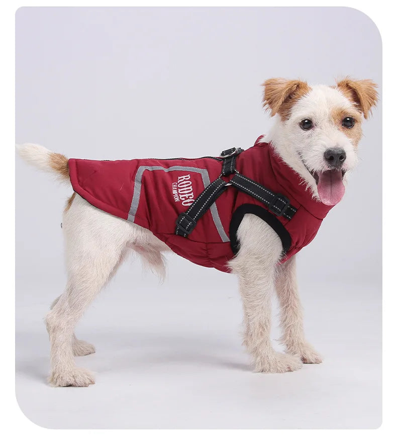 Premium All-Weather Dog Jacket with Harness