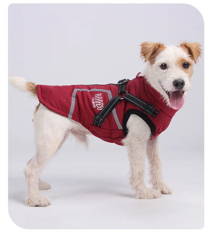 Premium All-Weather Dog Jacket with Harness