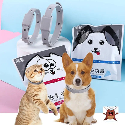 Cat/Dog Anti Flea Collar