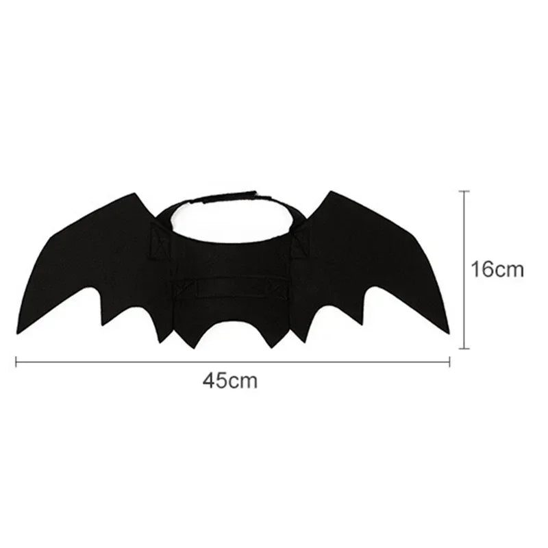 Cat Bat Wings Carrier Costume