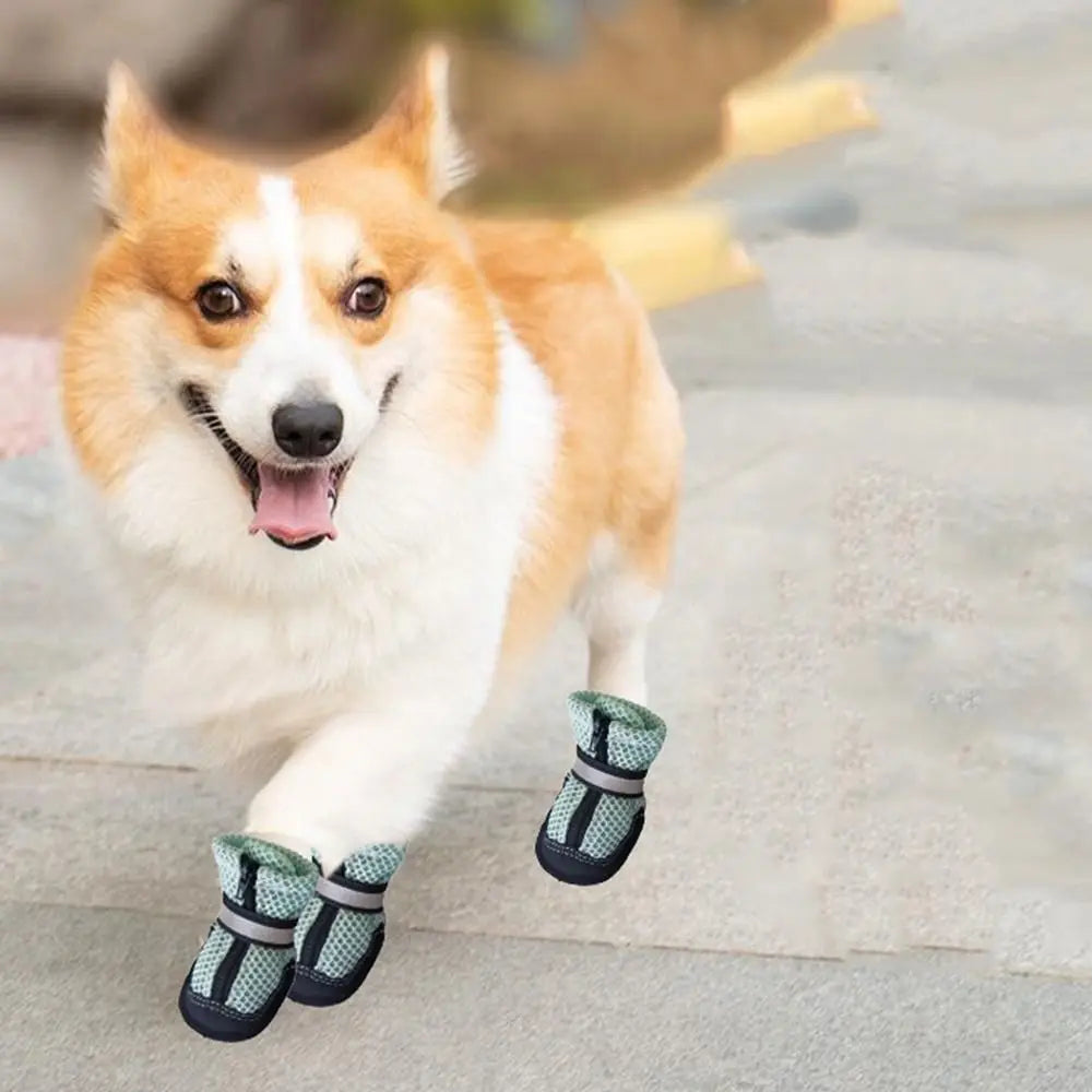 Soft Dog Mesh Shoes