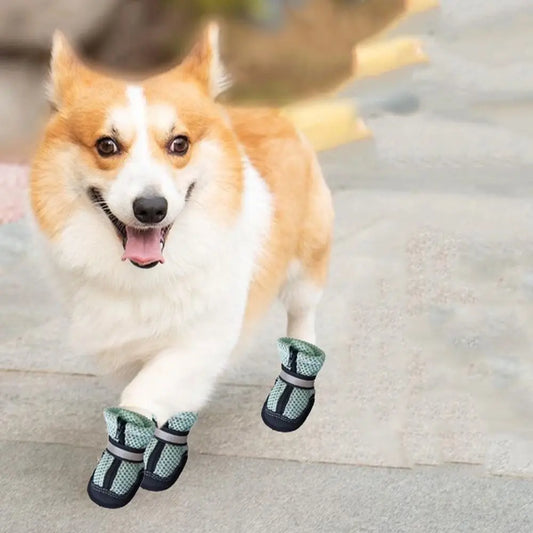 Soft Dog Mesh Shoes