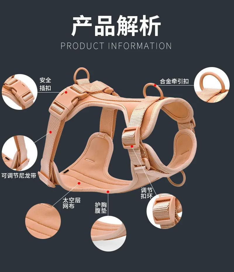 Dog Harness and Leash