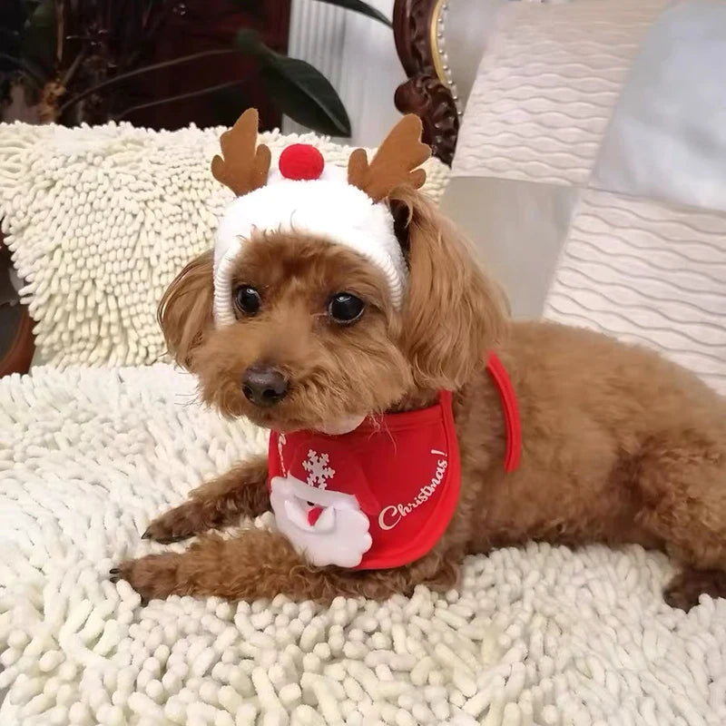 Kitty/Doggy Christmas Costume
