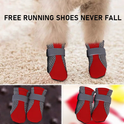 Puppy Outdoor Shoes