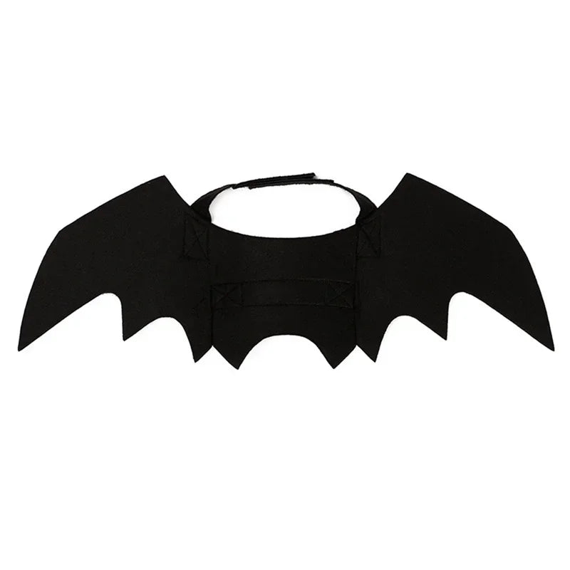 Cat Bat Wings Carrier Costume
