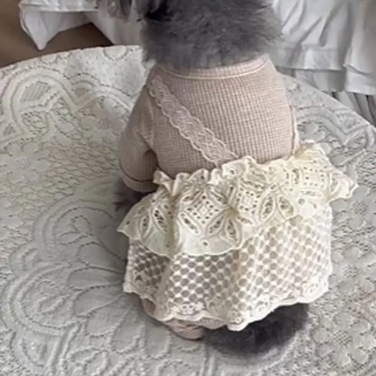 Pup Lace Camisole Jumpsuit