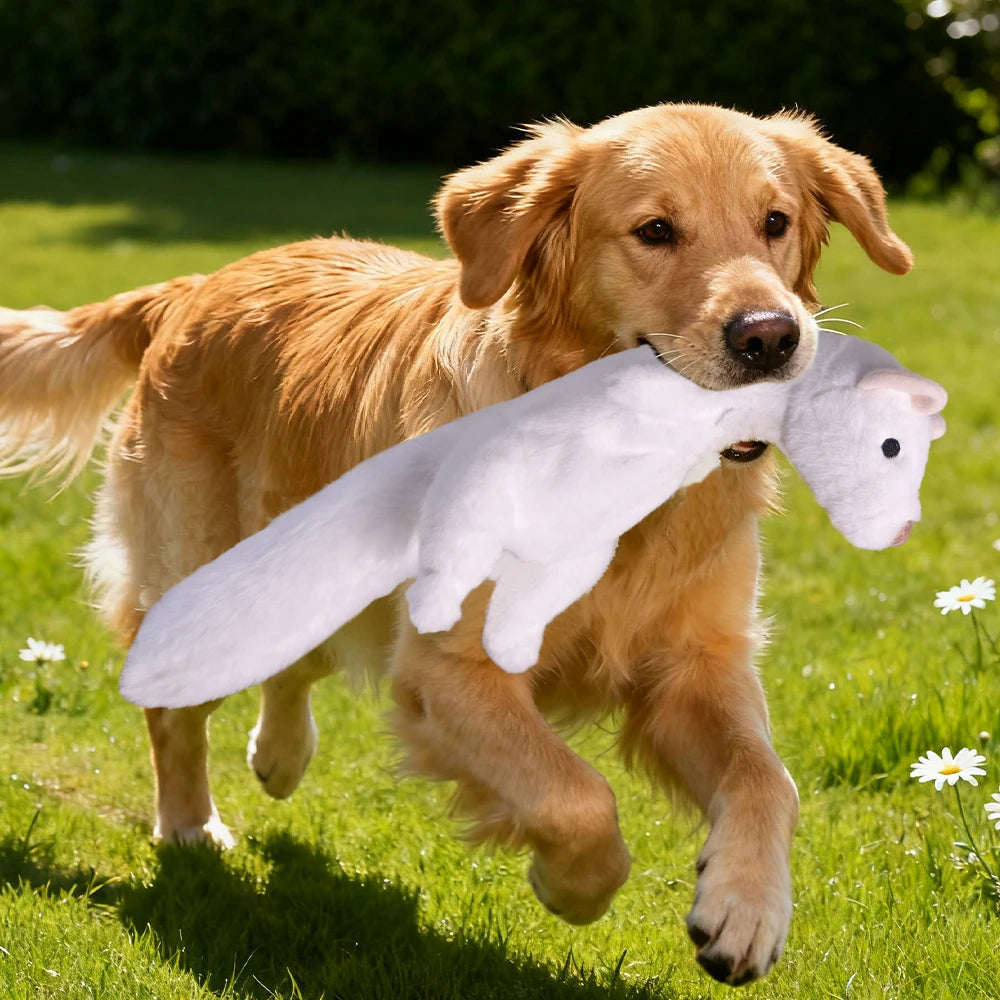 Dog Chew-Resistant Plush Toy with Sound