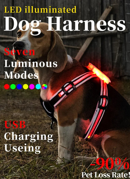 Rechargeable Waterproof Doggy LED Harness
