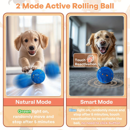 Smart Interactive Dog Toy