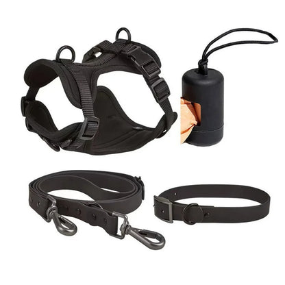 Dog Harness and Leash