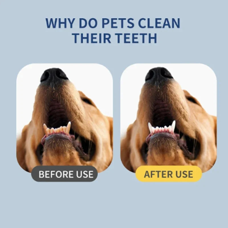 Cat//Dog Electric Ultrasound Teeth Cleaner