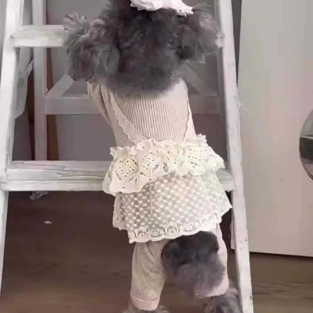 Pup Lace Camisole Jumpsuit