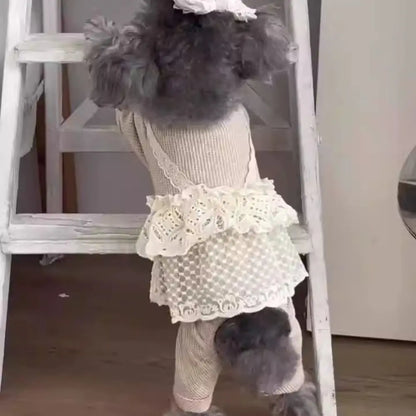 Pup Lace Camisole Jumpsuit