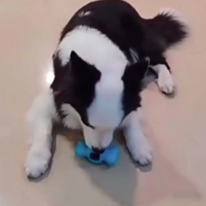 Bite-resistant Pet Chew Toy