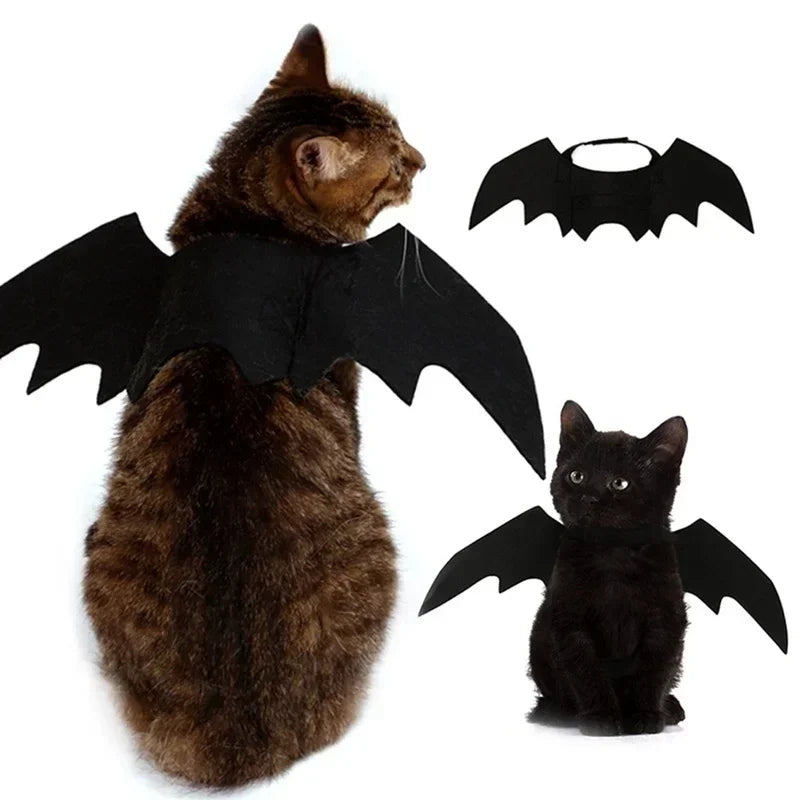 Cat Bat Wings Carrier Costume