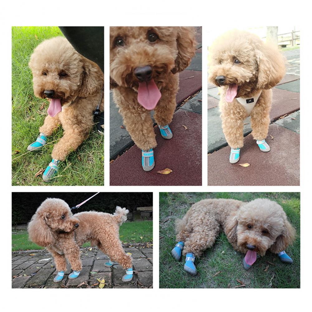 4Pcs Pet Shoes