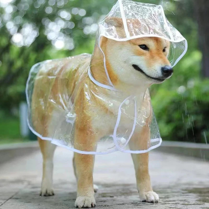 Dog Raincoat
