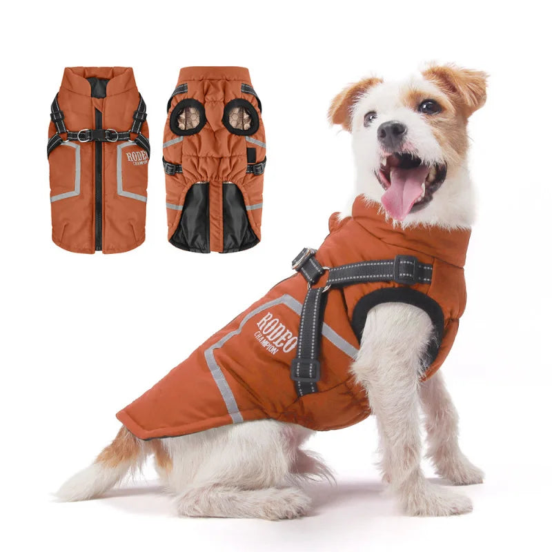 Premium All-Weather Dog Jacket with Harness