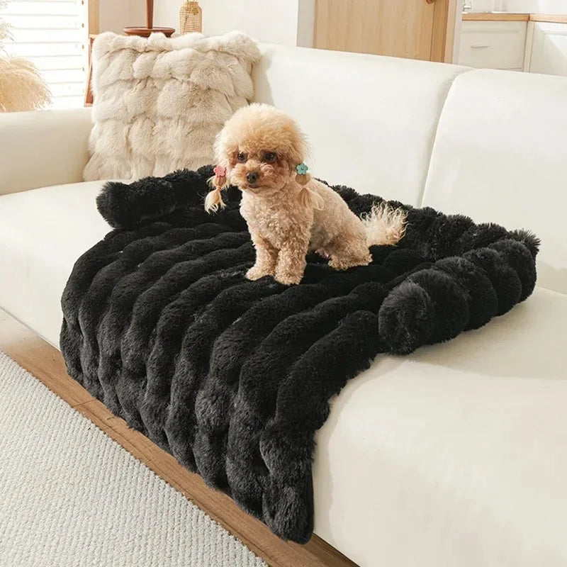 Doggy Lounge Bed