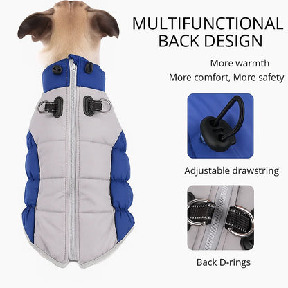 Premium Dog Jacket for Winter