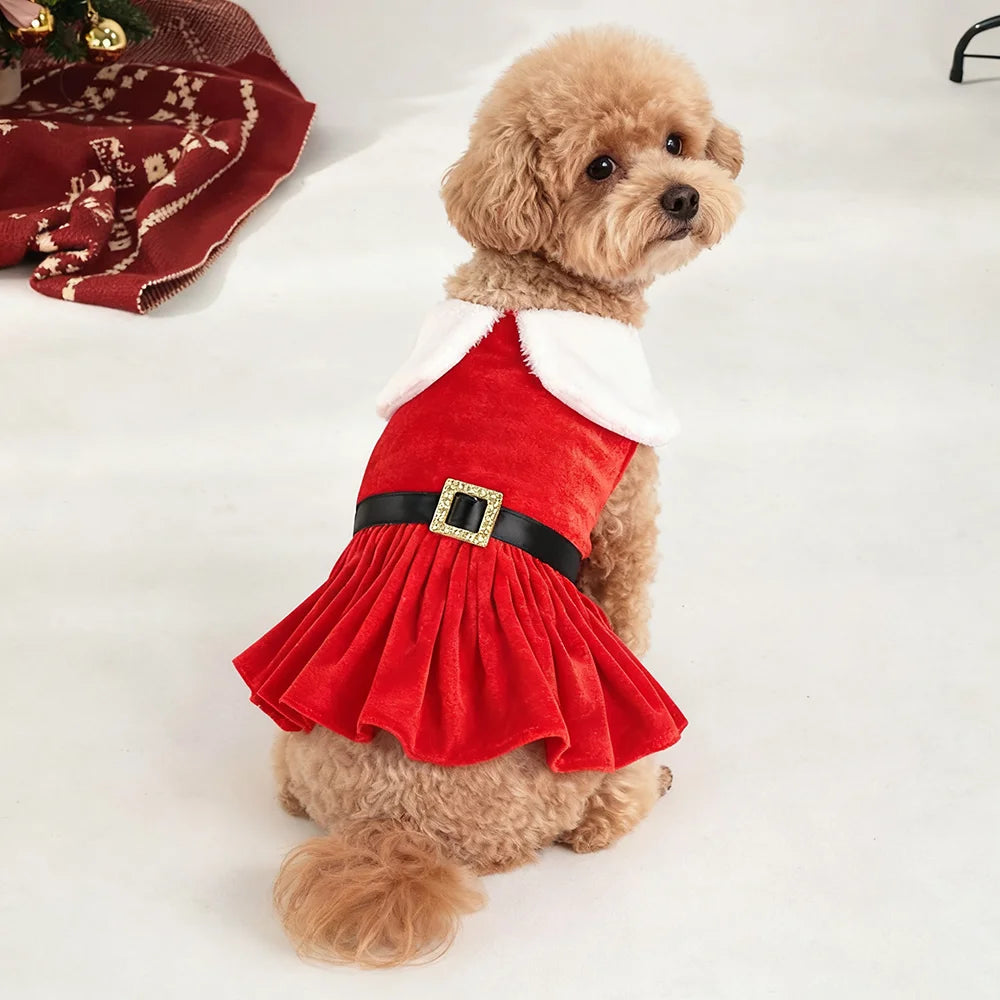 Doggy Christmas Dress
