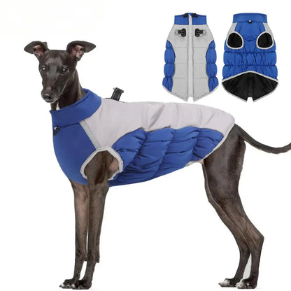 Premium Dog Jacket for Winter