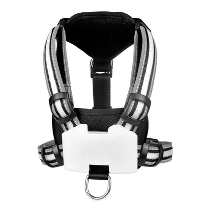 Rechargeable Waterproof Doggy LED Harness