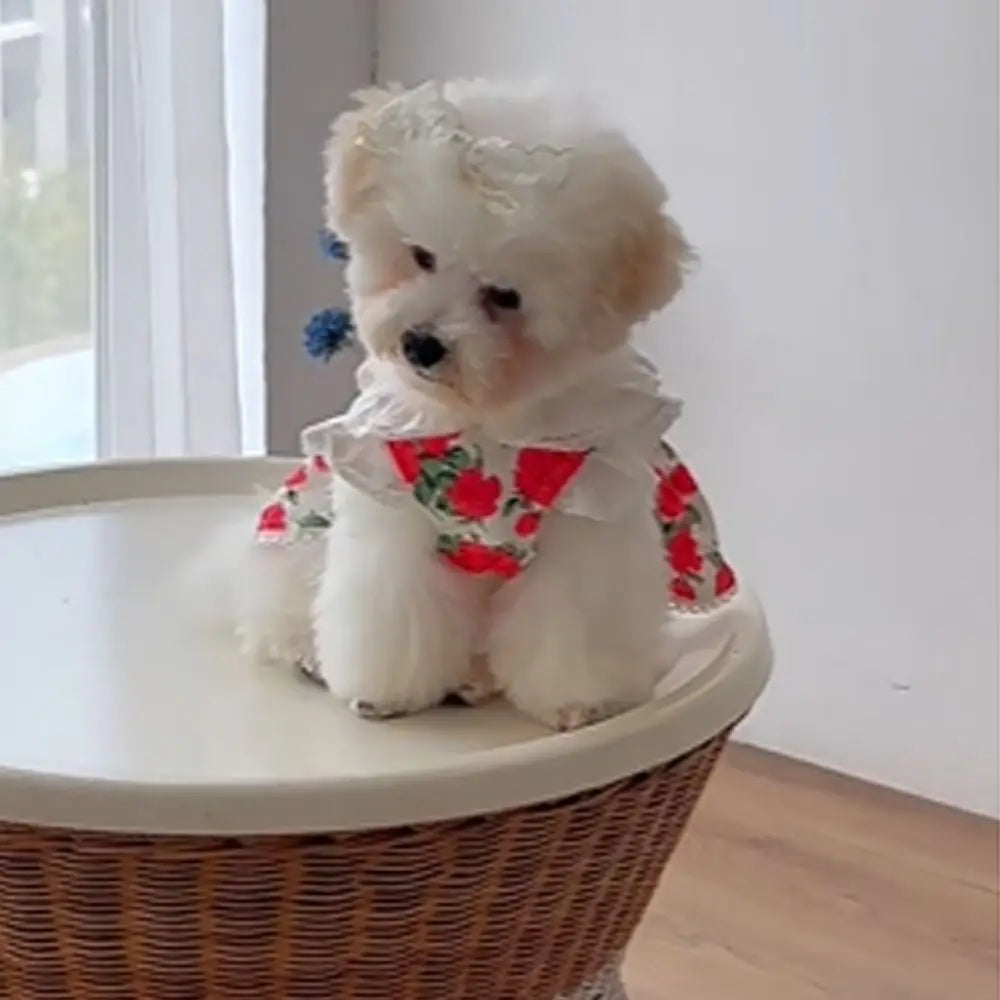 Cute Rose Doggy Dress Breathable Thin Design