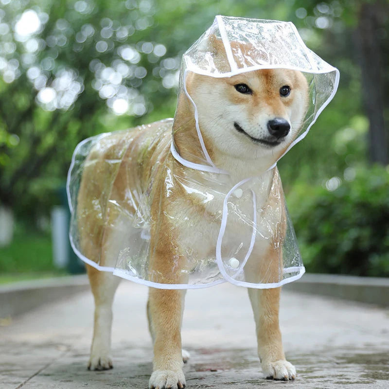 Dog Raincoat