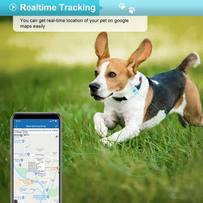 Dog/Cat 4G GPS Tracker