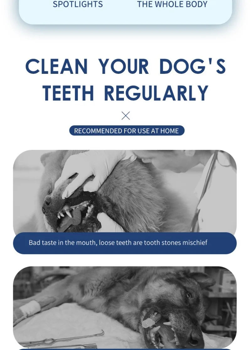 Cat//Dog Electric Ultrasound Teeth Cleaner