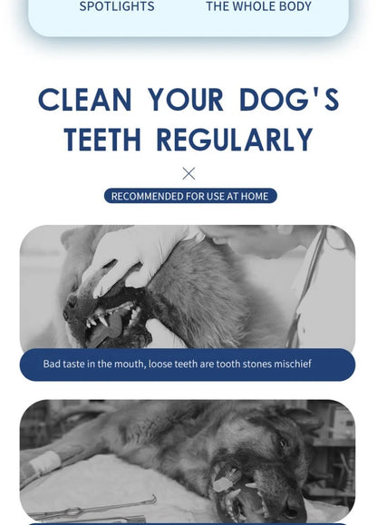 Cat//Dog Electric Ultrasound Teeth Cleaner