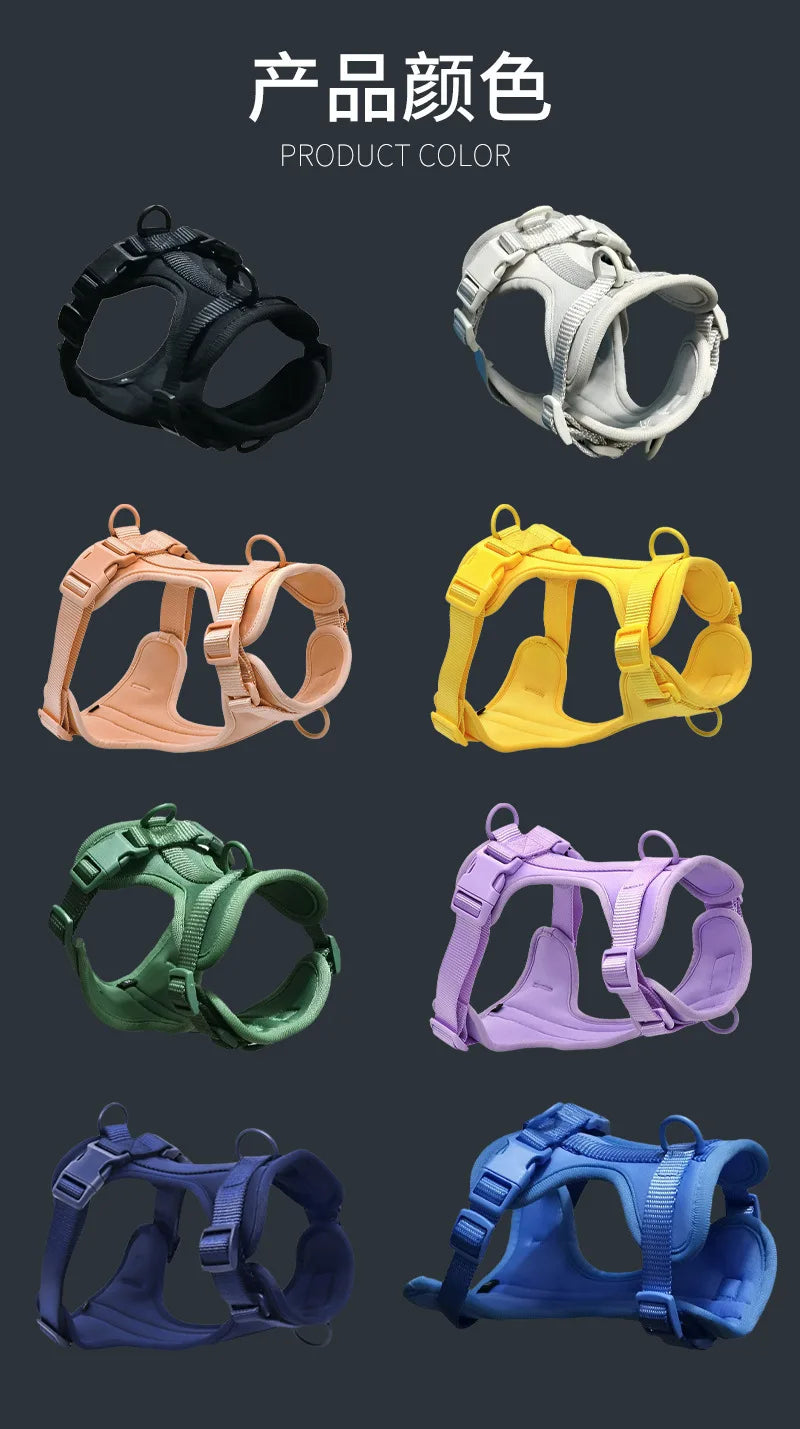 Dog Harness and Leash