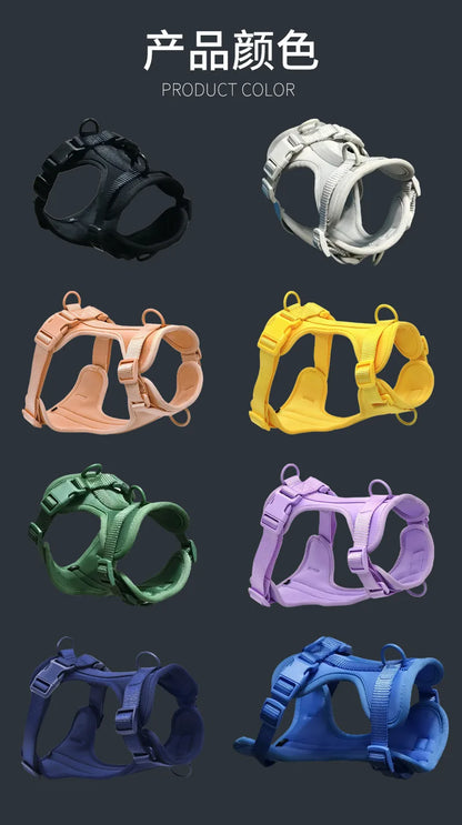 Dog Harness and Leash