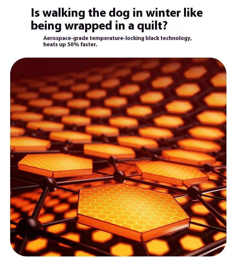 Premium All-Weather Dog Jacket with Harness