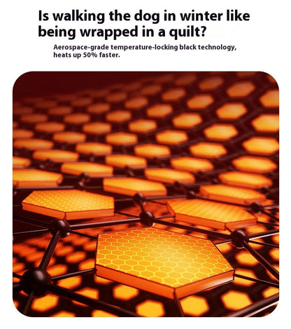 Premium All-Weather Dog Jacket with Harness