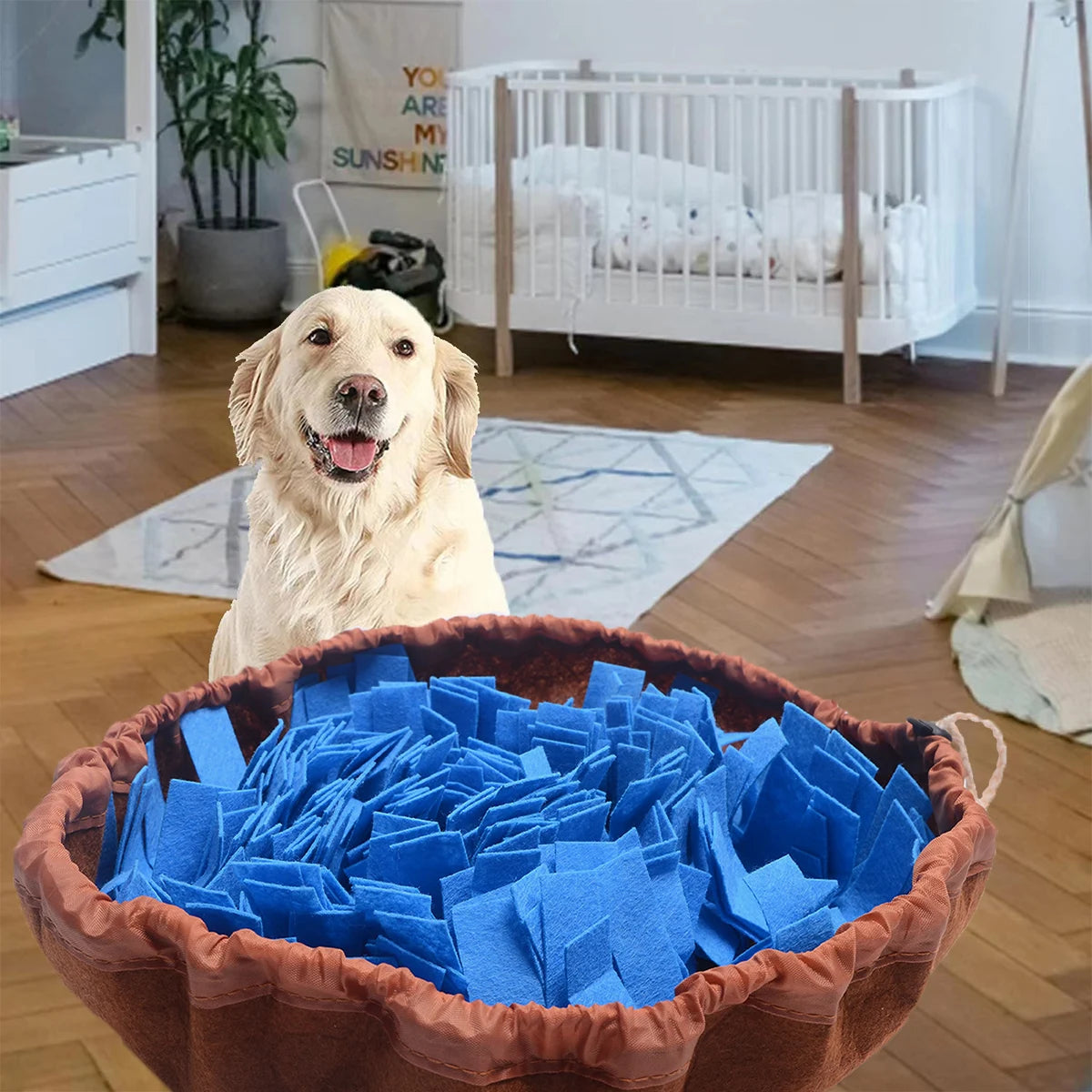 Washable Foldable Sniffing Pad