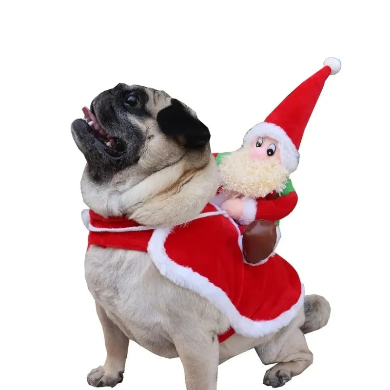 Doggy Christmas Costume