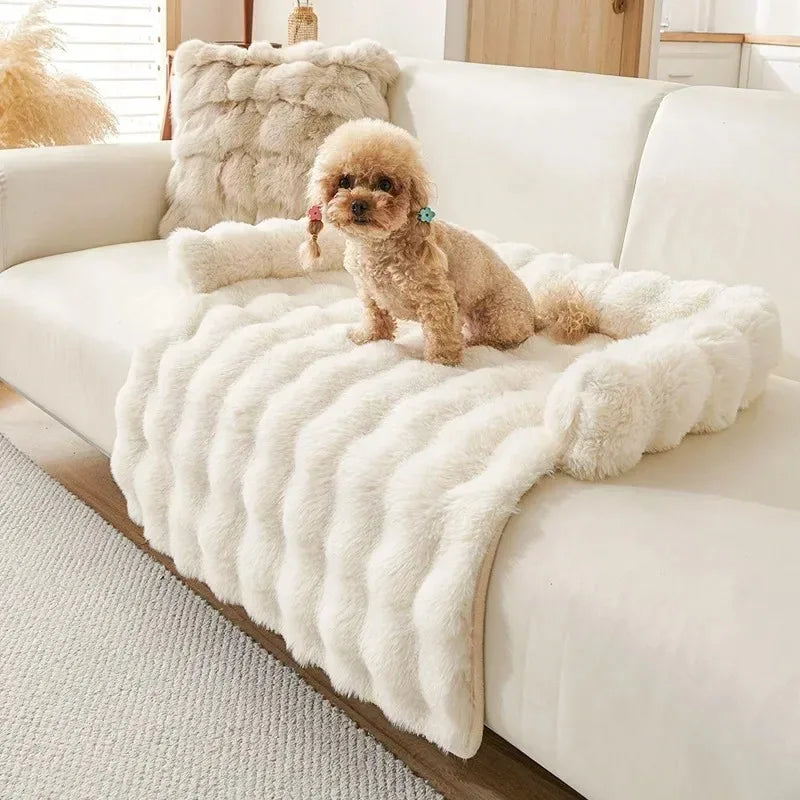 Doggy Lounge Bed