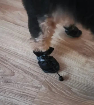 Waterproof Dog/Cat Shoes