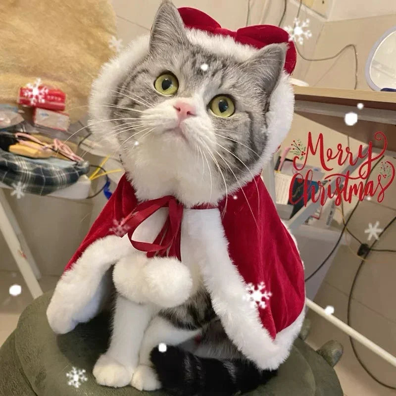 Kitty Christmas Cape