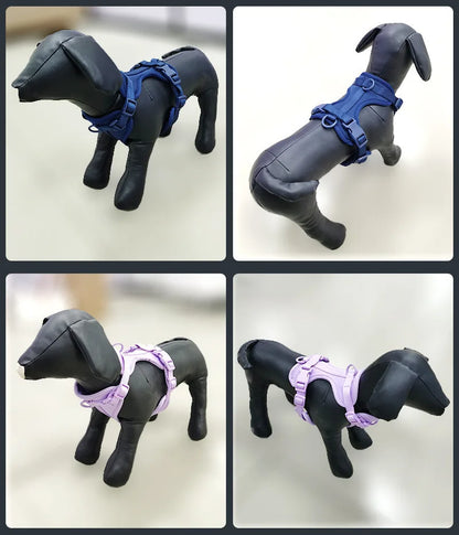 Dog Harness and Leash