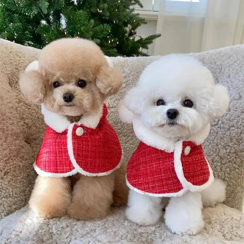 Doggy Christmas Costume