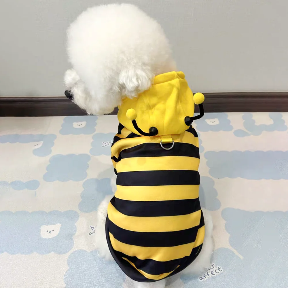 Bumble Bee Coat