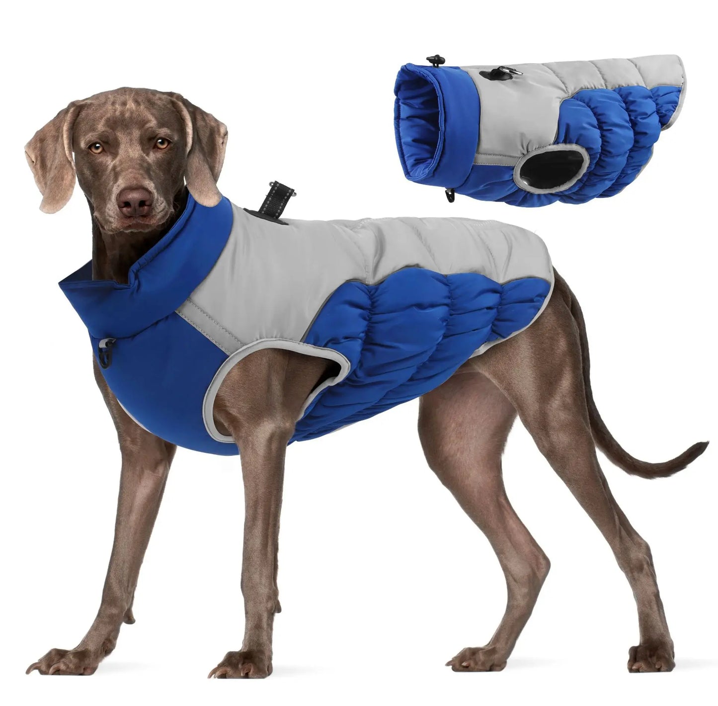 Premium Dog Jacket for Winter