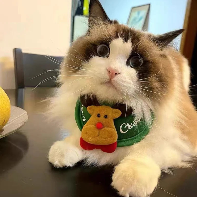 Kitty/Doggy Christmas Costume