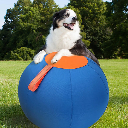 Inflatable Dog Ball Toy Inflatable